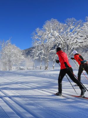 Langlauf in Davos